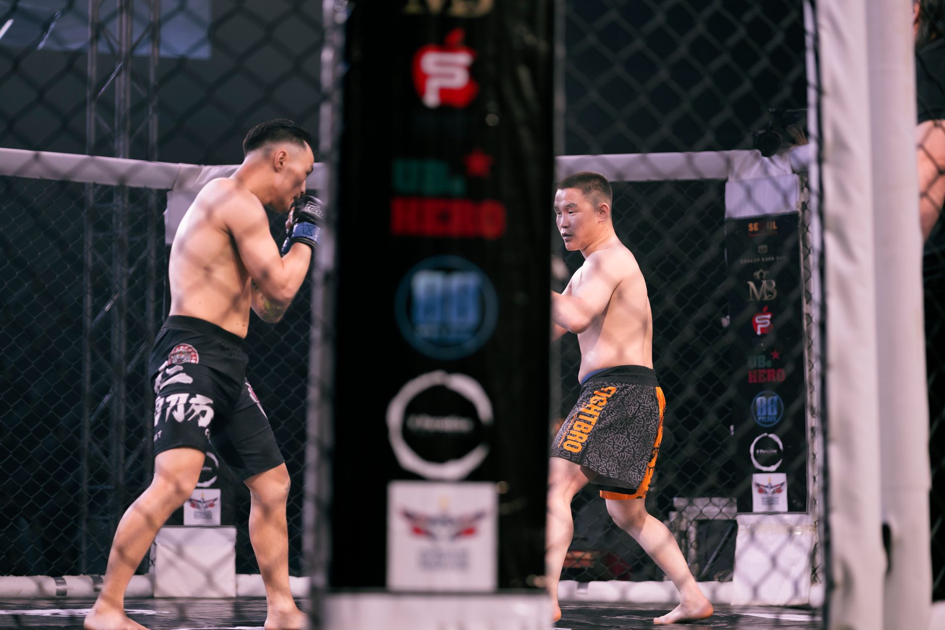 Combat sports arena with fight cage lighting