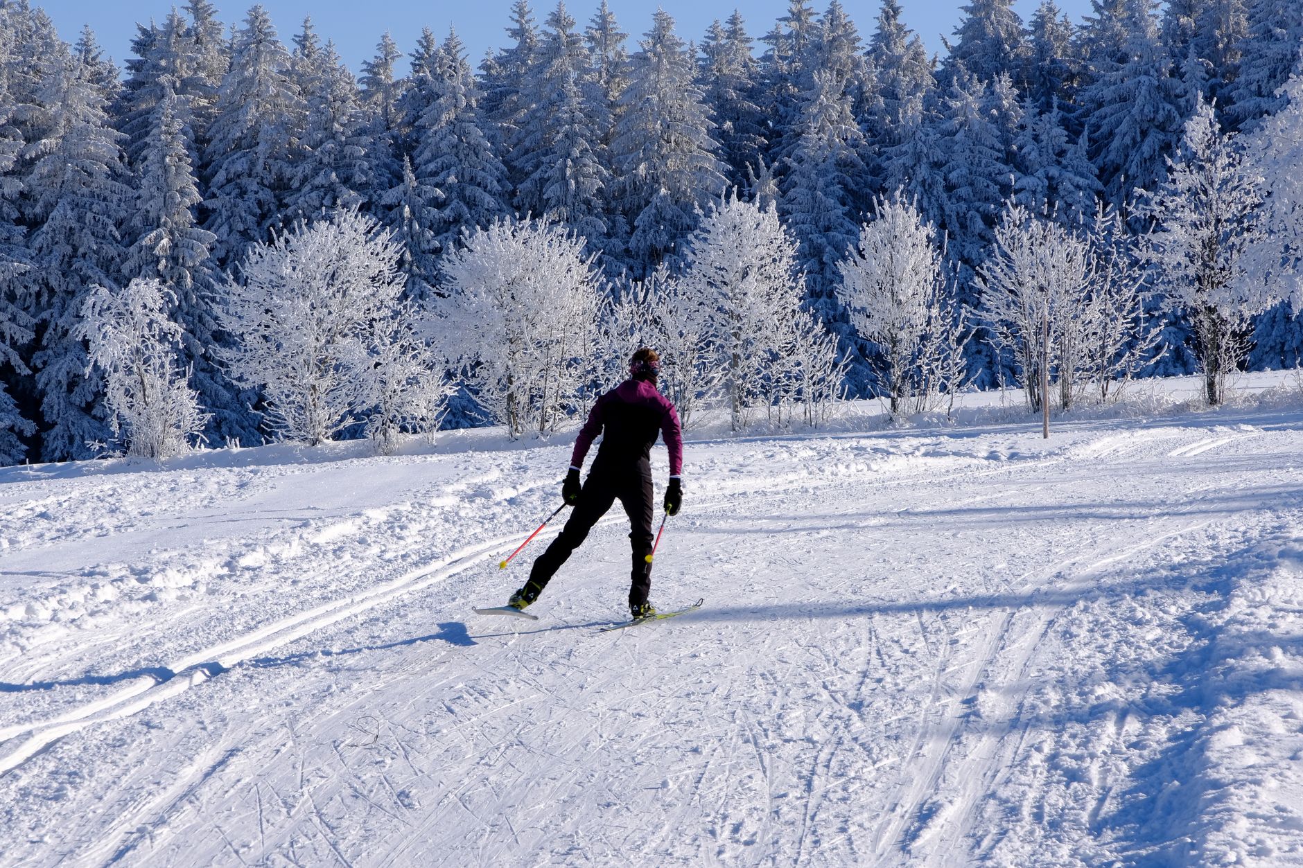 Cross-country skiers training on a snow-covered trail in Norway