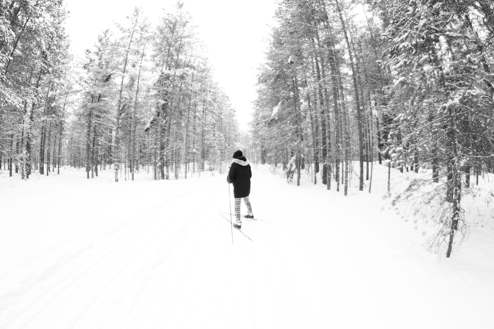 Inside Norway's Quiet System for Winter Olympic Dominance